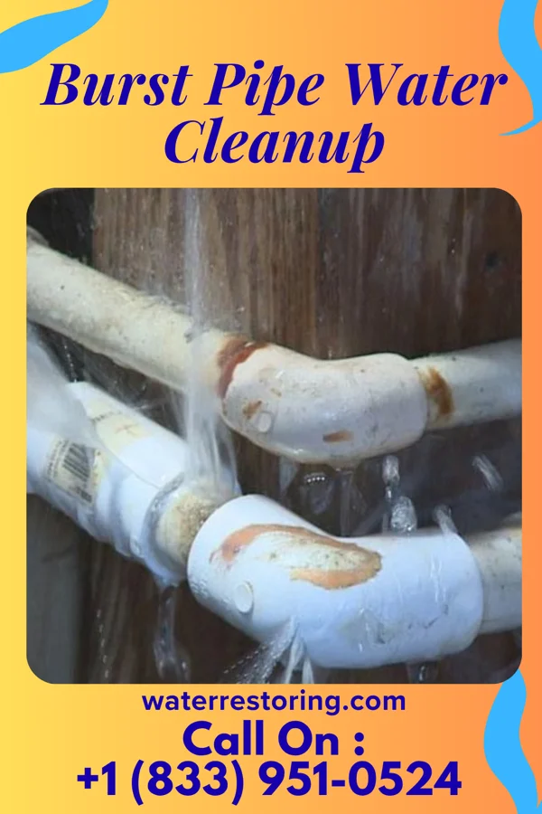 Burst Pipe Water Cleanup in Websters Crossing, NY