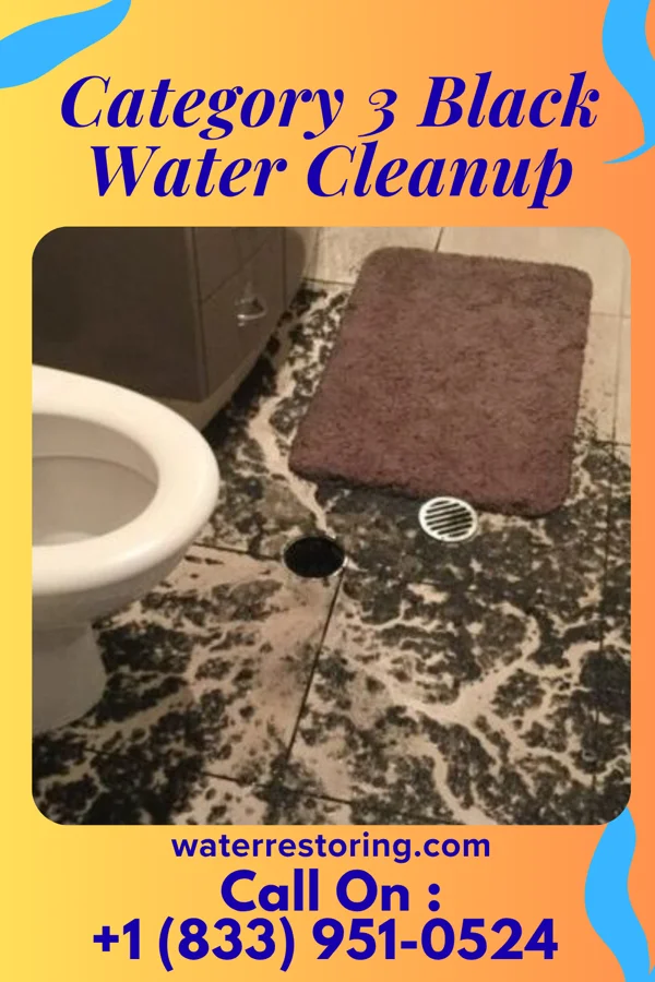 Category 3 Black Water Cleanup in Websters Crossing, NY