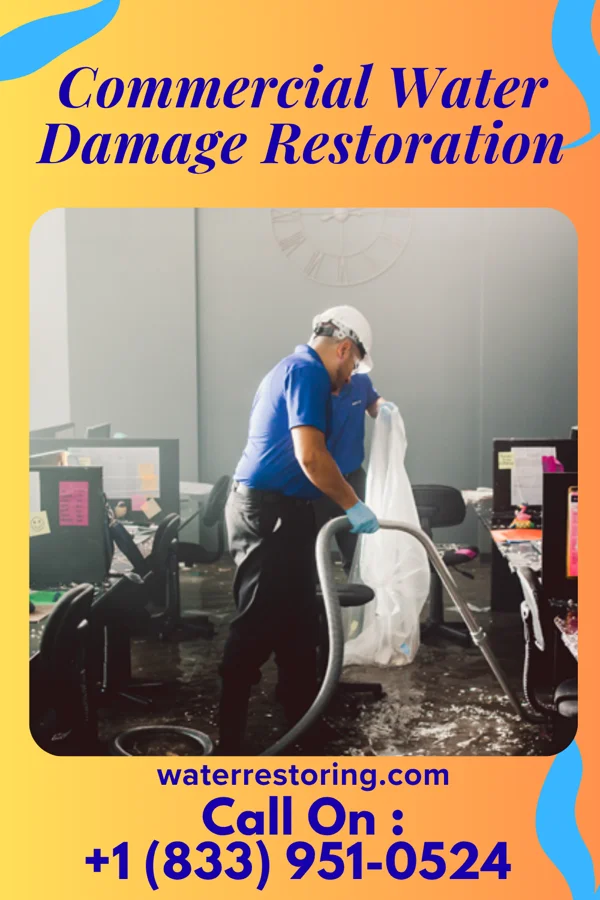 Commercial Water Damage Restoration in Websters Crossing, NY
