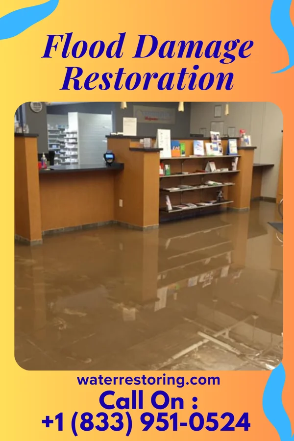 Flood Damage Restoration in Websters Crossing, NY