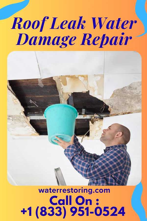 Roof Leak Water Damage Repair in Websters Crossing, NY
