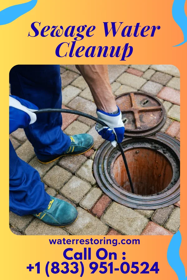 Sewage Water Cleanup in Websters Crossing, NY