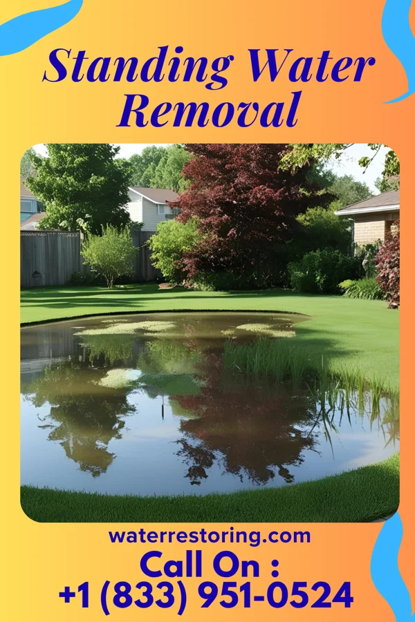 Standing Water Removal in Websters Crossing, NY